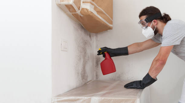 Professional Mold Testing technician working in Beverly, NJ