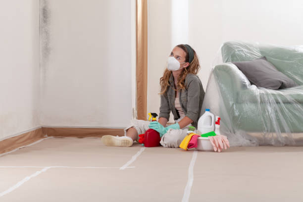 Reliable Mold Remediation contractor in Beverly, NJ by Cheap Mold Removal