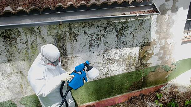 Trusted Mold Remediation service in Beverly, NJ - Cheap Mold Removal
